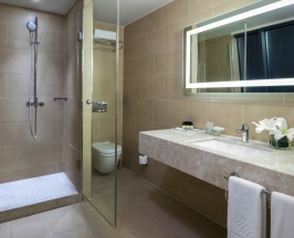 Двухместный полулюкс двуспальная кровать в Windsor Hotel & Convention Centre Istanbul