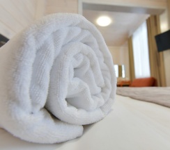 «Горный» Дабл плюс в Лесная сказка