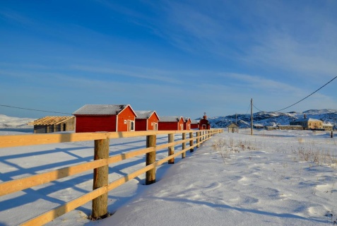 Териберка: Турбаза Териберский берег