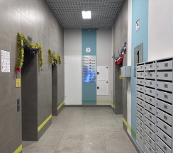 Квартира в Апартаменты на Муринская дорога д. 25 к.2