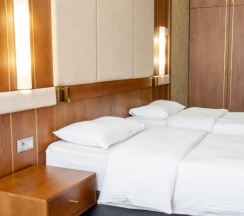 Двухместный номер Standard с видом на город 2 отдельные кровати в Reikartz Sky Алматы