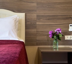 Трёхместный номер Супериор c 1 комнатой с балконом и с красивым видом из окна в Aimara