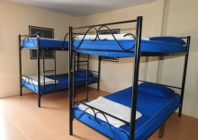 Кровать в общем номере в Phangan Arena Hostel