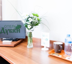 Номер Стандарт (одноместный) в Дубки