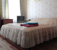 Двухместный номер Standard (двуспальная кровать) в У домика Петра