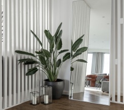 Studio Superior в Roomley
