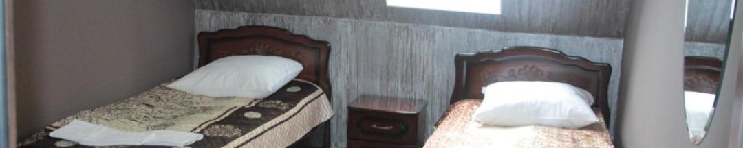 Двухместный номер с 2 отдельными кроватями в Таежный охотник