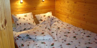 Борзые: Гостевой дом Wel-com