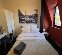 Номер стандарт с 1 двуспальной кроватью Альтштадт в Прусс