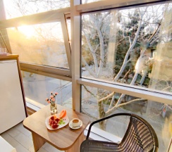 Семейный номер Superior с балконом и с красивым видом из окна в Camelia