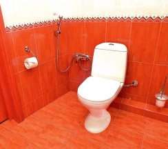 Номер стандарт с 1 двуспальной кроватью в Атис