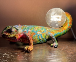 Кровать в 4-местном общем номере Мандела в Дом Радости