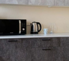 3-х местный номер студия с мини-кухней в Центральная