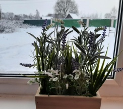 Семейный домик №3 в Ильмень