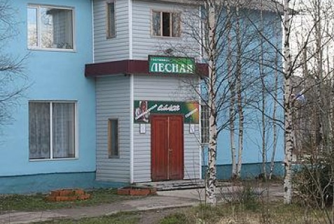 Муезерский: Мини-отель Лесная