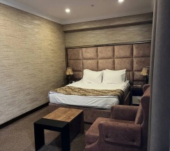Одноместный номер Deluxe в Baku Hotel