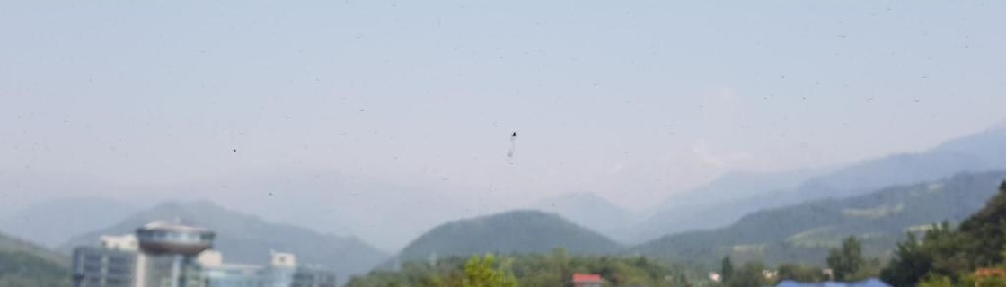 Алматы: Отель Mountain and city view house