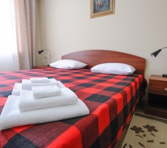 Номер комфорт с 1 двуспальной кроватью в Северная