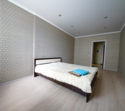 1-комнатные апартаменты стандарт в Favourite Home (Фэйворит Хоум) на улице Пугачева
