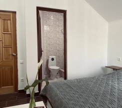 Номер Comfort в Феникс