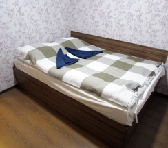 Номер эконом с 1 двуспальной кроватью в Гостишка