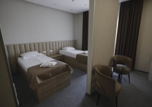 Стандарт (2 раздельные кровати) в Sleepers hotel avia dme