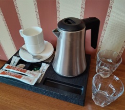 Стандарт 2-х местный с раздельными кроватями в Grand hotel