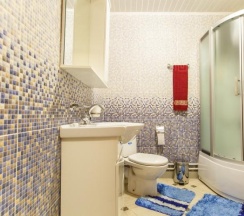 Номер стандарт с 1 двуспальной кроватью №3 в Медведь