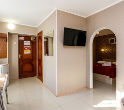 Номер комфорт с 1 двуспальной кроватью в Звездная