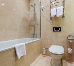 Делюкс в Райкин Plaza Hotel