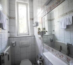 Одноместный номер Standard в Hotel Seibel