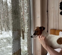 Домик на двоих (возможно заселение с питомцем) в New Camp