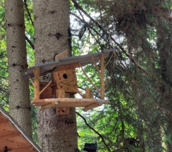 Трехместный гостевой домик "Романтика" 25 кв. м. в Архыз шале хаус