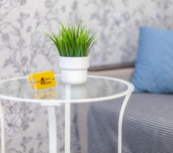 1-комнатные апартаменты люкс в RentPlaza