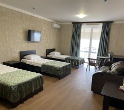 3-местный 1-комнатный номер полулюкс улучшенный в Ника