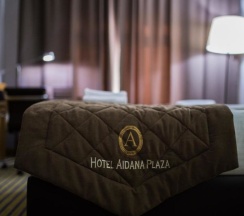 Двухместный номер Standard двуспальная кровать в Aidana Plaza Hotel