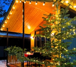 Шале Комфорт в Solu chalet