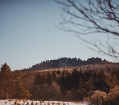 Люкс с балконом в Арслан
