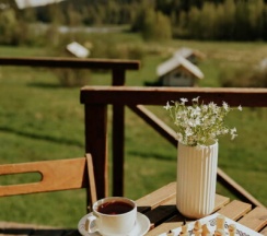 ROMANTIC PLUS в Radostland