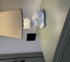 Стандарт в Кошкин дом