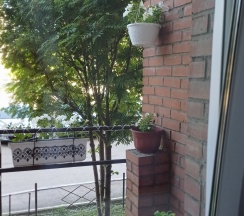 Одноместный номер в Город