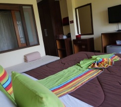 Одноместный номер Deluxe в Starwell Garden Home Resort