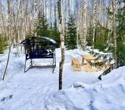 "Ольха" в След Лося