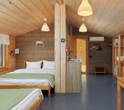 Дубльдом на Оке № 81 в Гуляй-город