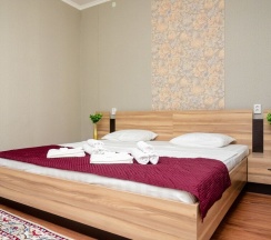 Двухместный номер Comfort двуспальная кровать в Алатау