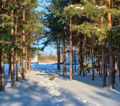 ЯР-ХОУМ. Дом у камского моря и кино-парка.  в Белый Яр
