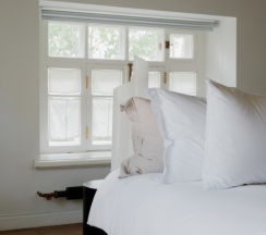 Mansard Suite в Рихтер