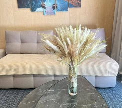 Студия в Телецкое Золотое