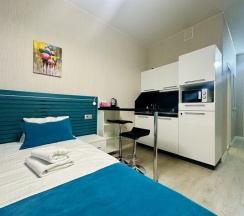 1129 Студия комфорт с кухней в Nv Hotel