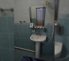 Номер люкс с 1 двуспальной кроватью №8 в У Палыча